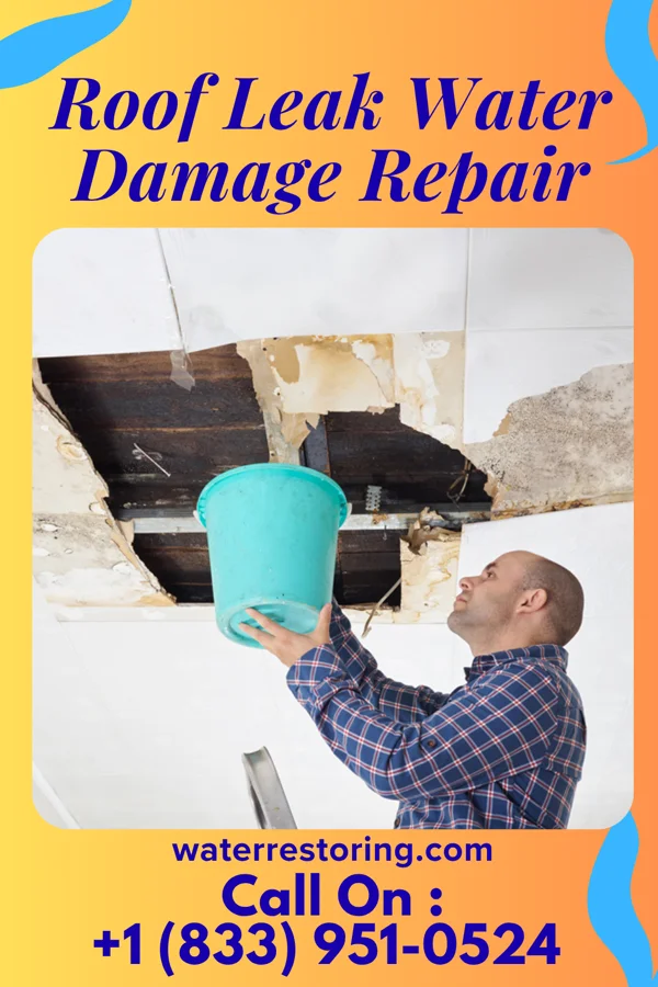 Roof Leak Water Damage Repair in Anacortes, WA